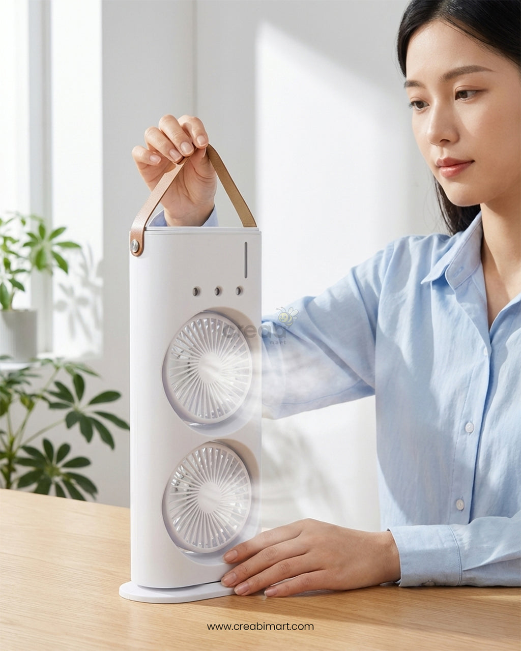 Tabletop Double Head Electric Fan