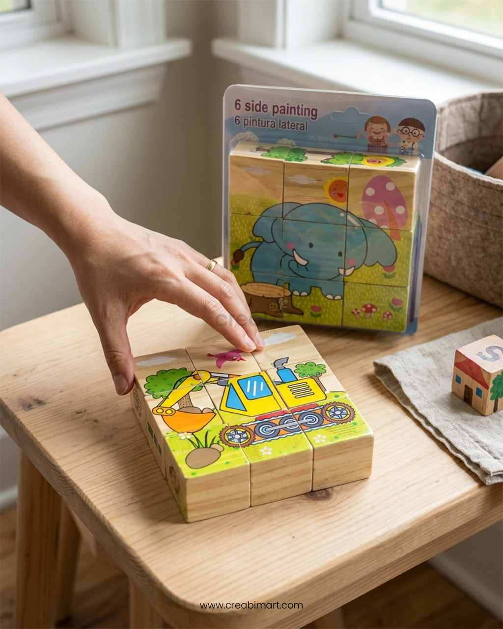 6 Side Painting Wooden Puzzle